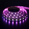 Colorfull RGBW SMD 5050 Series