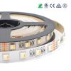 Colorfull RGBW SMD 5050 Series 3