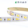 Dual Color 2835 Series 2